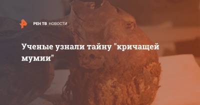 Ученые узнали тайну "кричащей мумии" - ren.tv - Египет