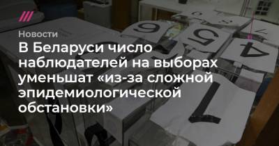 Софья Сандурская - В Беларуси число наблюдателей на выборах уменьшат «из-за сложной эпидемиологической обстановки» - tvrain.ru - Белоруссия