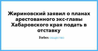 Сергей Фургал - Владимир Жириновский - Михаил Дегтярев - Сергей Иванович Фургал - Жириновский заявил о планах арестованного экс-главы Хабаровского края подать в отставку - forbes.ru - Россия - Хабаровский край