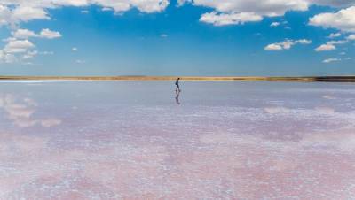 Магзум Мирзагалиев - Розовому озеру Кобейтуз придадут статус особо охраняемой территории - informburo.kz - Казахстан