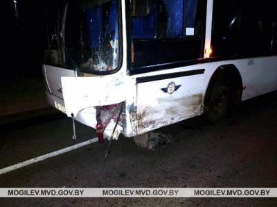 Водитель «Хонды» погиб при столкновении с автобусом в Могилеве - naviny.by