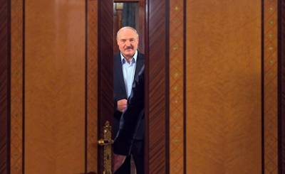 Александр Лукашенко - «Стоп таракан!»: позиции Лукашенко пошатнулись, но он идет к переизбранию (The Conversation, Австралия) - inosmi.ru - Австралия - Белоруссия