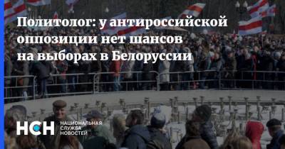 Александр Лукашенко - Алексей Дзермант - Анна Канопацкая - Политолог: у антироссийской оппозиции нет шансов на выборах в Белоруссии - nsn.fm - Россия - Белоруссия