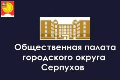 Голосование за кандидатов в Общественную палату Серпухова будет доступно с 24 июля - serp.mk.ru