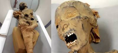 Захи Хавасс - Раскрыта тайна смерти "кричащей мумии" из Египта - stolicaonego.ru - Египет