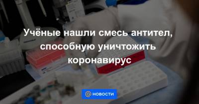 Учёные нашли смесь антител, способную уничтожить коронавирус - news.mail.ru - Колумбия - Нью-Йорк