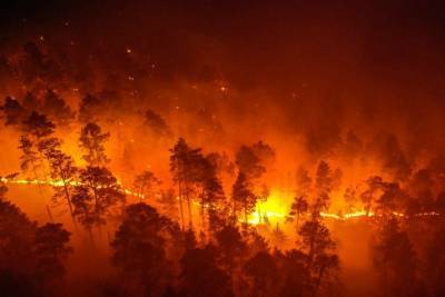 Григорий Куксин - Greenpeace показал пожары в сибирских лесах (фото) - tayga.info - Россия - населенный пункт Угрозы
