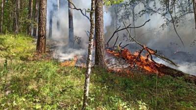В Башкирии умер волонтер, прибывший тушить лесные пожары - piter.tv - Башкирия - район Белорецкий