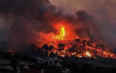 В Греции вспыхнул масштабный лесной пожар - korrespondent.net - Греция