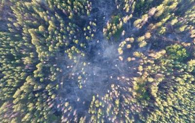 На Луганщине второй день тушат лесной пожар - korrespondent.net - Луганская обл. - населенный пункт Угрозы - Гсчс