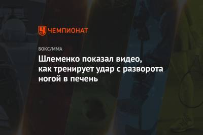 Александр Шлеменко - Шлеменко показал видео, как тренирует удар с разворота ногой в печень - championat.com - Россия - Омск