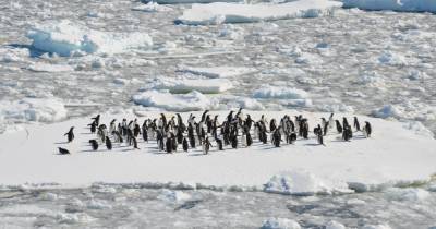 В Антарктике «протекает» метан, ученые не знают почему - popmech.ru - Антарктида