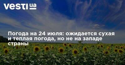 Наталья Диденко - Погода на 24 июля: ожидается сухая и теплая погода, но не на западе страны - vesti.ua - Украина