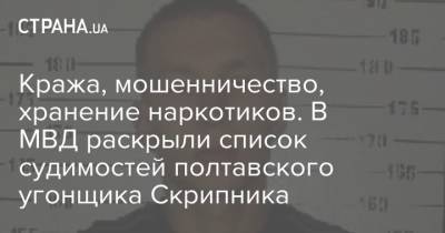 Антон Геращенко - Роман Скрипник - Кража, мошенничество, хранение наркотиков. В МВД раскрыли список судимостей полтавского угонщика Скрипника - strana.ua - Украина - Полтава