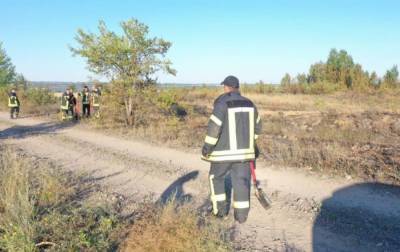Пожар в Луганской области ликвидировали - rbc.ua - Луганская обл.