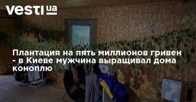 Плантация на пять миллионов гривен - в Киеве мужчина выращивал дома коноплю - vesti.ua - Украина - Киев