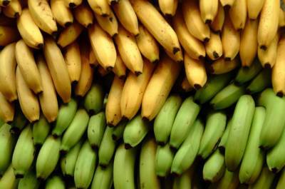 На мировом рынке произошёл банановый коллапс, цены падают - inform-ua.info - Эквадор