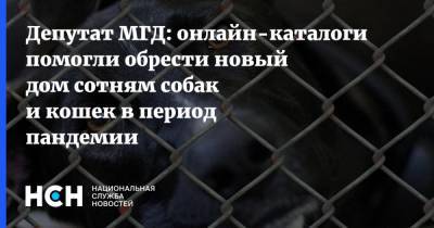Александр Козлов - Депутат МГД: онлайн-каталоги помогли обрести новый дом сотням собак и кошек в период пандемии - nsn.fm - Москва