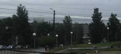 Дожди и грозы ожидаются в пятницу в Карелии - stolicaonego.ru - Карелия - Петрозаводск