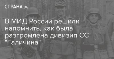 Адольф Гитлер - В МИД России решили напомнить, как была разгромлена дивизия СС "Галичина" - strana.ua - Россия - Украина - Германия