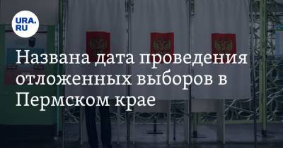 Названа дата проведения отложенных выборов в Пермском крае - ura.news - Пермский край