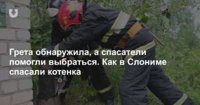 Грета обнаружила, а спасатели помогли выбраться. Как в Слониме спасали котенка - news.tut.by