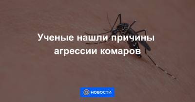 Ученые нашли причины агрессии комаров - news.mail.ru - Гана - Буркина-Фасо - Уагадугу
