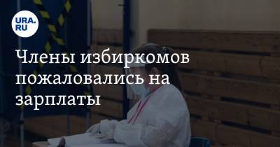 Члены избиркомов пожаловались на зарплаты. За работу на голосовании по Конституции обещали больше - ura.news - Воронеж