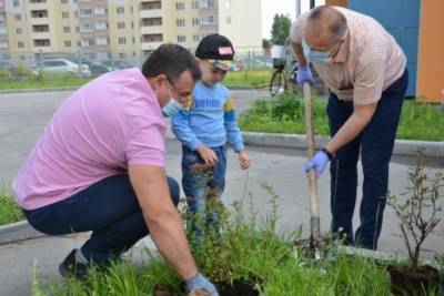 Спирея станет украшением одного из детских садов в Иванове - mkivanovo.ru