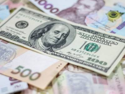 Игорь Петрашко - Гривна продолжает падение: доллар вырос еще на 11 копеек - golos.ua - Украина