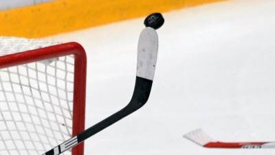 Александр Овечкин - Новый клуб НХЛ объявил название и представил логотип - gazeta.ru - Вашингтон - Seattle