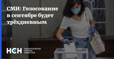 Элла Памфилова - СМИ: Голосование в сентябре будет трёхдневным - nsn.fm