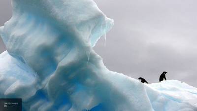 Обнаружена первая активная утечка метана на дне океана в Антарктике - newinform.com - Антарктида