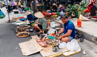 Нгуен Суан Фук - Вьетнам ввел запрет на торговлю дикими животными и их импорт - newizv.ru - Вьетнам - Торговля