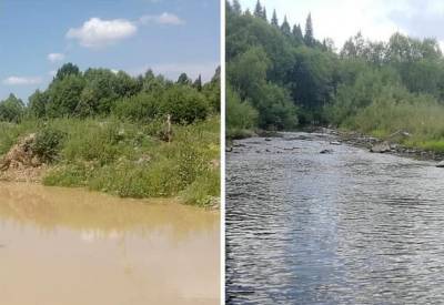 В Кузбассе золотодобытчики очистили реку после рейда властей - gazeta.a42.ru - район Таштагольский