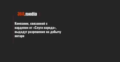 Сергей Литвиненко - Компании, связанной с нардепом от «Слуги народа», выдадут разрешение на добычу янтаря - 368.media - Украина