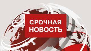 Татьяна Голикова - Россия возобновляет международные авиарейсы с 1 августа - bbc.com - Россия - Англия - Санкт-Петербург - Московская обл. - Турция - Ростов-На-Дону - Танзания
