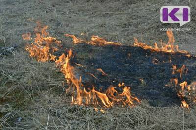 В восьми муниципалитетах Коми завтра ожидается высокая пожароопасность - komiinform.ru - респ. Коми - Усинск - Сосногорск - район Печорский - Печорск