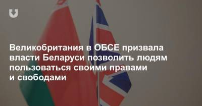 Великобритания в ОБСЕ призвала власти Беларуси позволить людям пользоваться своими правами и свободами - news.tut.by - Англия - Белоруссия