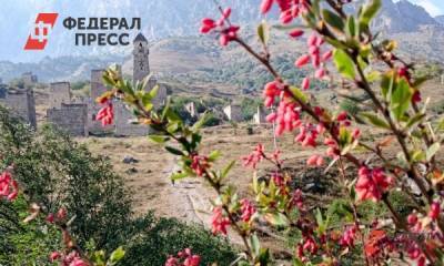 Границы закрыты, а народ хочет в отпуск. Правительство России накормит турфирмы - fedpress.ru - Россия - Краснодарский край - Астраханская обл. - Ростовская обл. - Кубань - Волгоградская обл. - респ. Кабардино-Балкария