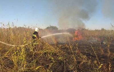 В Луганской области снова начался пожар - rbc.ua - Луганская обл.