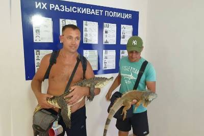 В Анапе у фотографов-живодеров забрали крокодила и игуану - kubnews.ru - Анапа - Геленджик