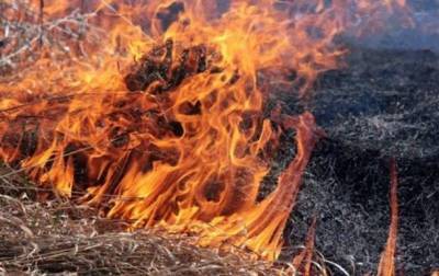 В Луганской области начался новый пожар - korrespondent.net - Луганская обл. - Гсчс