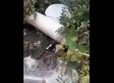 Видео: в Рязани канализационные стоки текут прямо в пруд - ya62.ru - Рязань