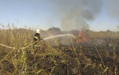 Пожар в Луганской области локализовали - rbc.ua - Луганская обл.