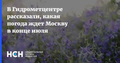 Марина Макарова - В Гидрометцентре рассказали, какая погода ждет Москву в конце июля - nsn.fm