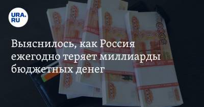 Выяснилось, как Россия ежегодно теряет миллиарды бюджетных денег - ura.news - Россия