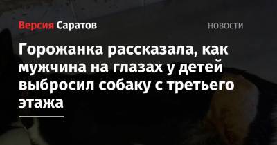 Анастасия Захарова - Горожанка рассказала, как мужчина на глазах у детей выбросил собаку с третьего этажа - nversia.ru - Россия