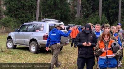 Пропавшего во время прогулки с сестрой трехлетнего мальчика ищут дроны в Крыму - inforeactor.ru - Крым - район Симферопольский