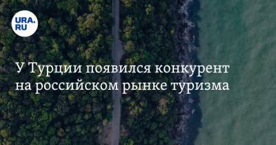 Юрий Барзыкин - У Турции появился конкурент на российском рынке туризма - ura.news - Россия - Англия - Турция - Тунис - Тунисская Респ. - Танзания